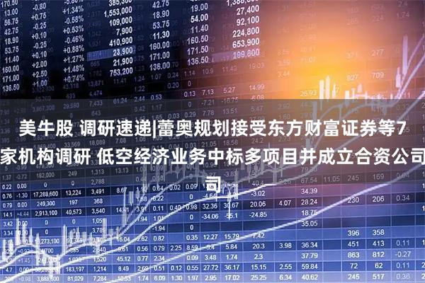 美牛股 调研速递|蕾奥规划接受东方财富证券等7家机构调研 低空经济业务中标多项目并成立合资公司