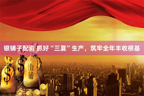 银铺子配资 抓好“三夏”生产，筑牢全年丰收根基